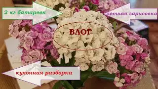 ВЛОГ . 2 кг батареек. Летняя зарисовка .Кухонные разборки