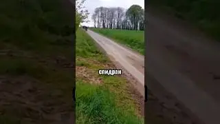 Спидран по нейросетям / новые нейросети 