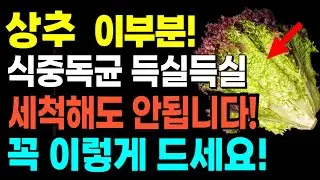 아프기 싫다면 상추 제발 이렇게 먹지마세요! 상추와 상극 음식 TOP3! 이렇게 먹어야 구멍난 뼈가 채워지고 불면증, 눈건강 좋아집니다! 상추효능. 건강음식정보