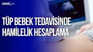 Tüp Bebek Tedavisinde hamilelik-gebelik nasıl hesaplanır? | Sağlık | Nasil.com