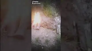Tik tok