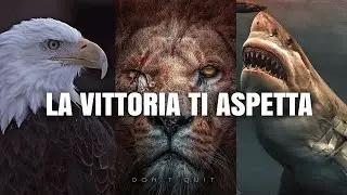 𝗟𝗔 𝗩𝗜𝗧𝗧𝗢𝗥𝗜𝗔 𝗧𝗜 𝗔𝗦𝗣𝗘𝗧𝗧𝗔
