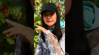 РАСКЛАД ТАРО ОНЛАЙН: что он болтает за вашей спиной ?