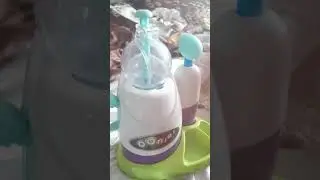 Пузыри
