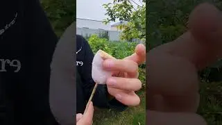 Маршмэлло