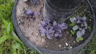 Ракурс, мои владения ,экскурс