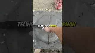 5 Fakta Unik Kepala Manusia