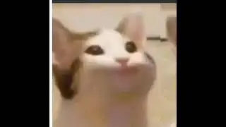 мой первый стрим соника