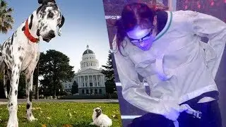 4 Of The Weirdest Guinness World Records Ever