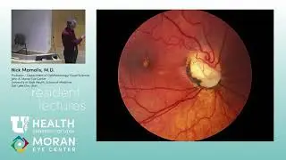 Optic Nerve Pathology