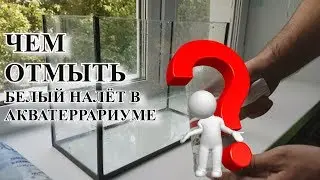 КАК И ЧЕМ БЫСТРО И ПРОСТО ОЧИСТИТЬ БЕЛЫЙ НАЛЕТ В АКВАТЕРРАРИУМЕ И АКВАРИУМЕ