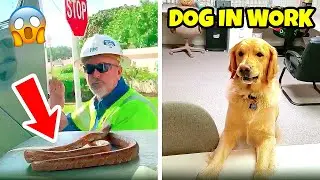 Moments Where Being a Workaholic Brings Bad Luck | Funniest Fails at Work