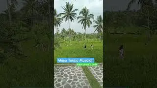 Dunia tak punya masalah penuh kebahagiaan #kebahagiaan #kebahagiaanbersama #bahagia #sawah