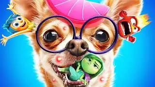 We Build a Tiny House for Dog! The Amazing Digital Circus vs Inside Out 2!