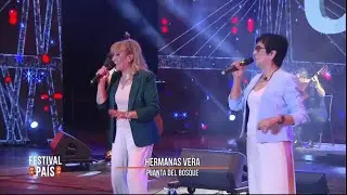 Las Hermanas Vera - Planta Del Bosque