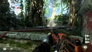 49-10 Kill Confirmed Gameplay (No attachments)