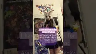 I’m going in a maid dress ‼️🌟 { #utah #furry #cosplay #fanx #cosplayconvention #saltlakecity }