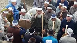 1анди Майртуп