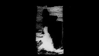 Étienne Jules Marey: La Vague (1891)