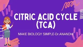 I Citric Acid Cycle I Biochemistry I