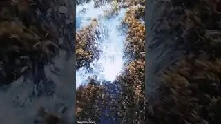 Incredible Happinings on the sea Rocks/It's beautiful❤
