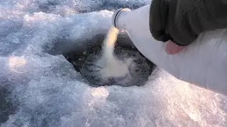 I HAVE NOT SEEN FISHING LIKE THIS FOR A LONG TIME| WHITE FISHING IN FEBRUARY