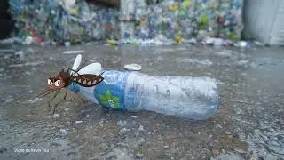Esses são os Sintomas da Dengue!