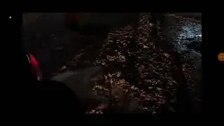 Продолжение Видео Макса Ващенко Про СЕРБСКУЮ ЛЕДИ!😲