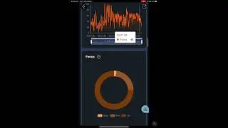 Zen garden 2 report ----Multi people neurofeedback meditation