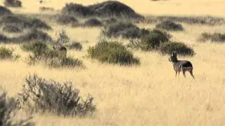 Mara's running in Argentina