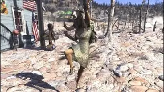 What the ....?! Fallout 76
