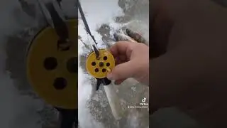 14 декабря 2023 г.