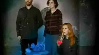 The New Pornographers - 