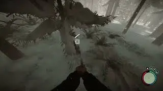 Bighead rabbit does cartwheel in Sons of The Forest