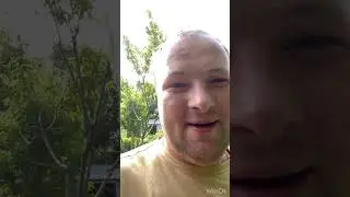 Бишкек 2023 созрела Вишня