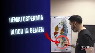 Hematospermia, BLOOD in Semen HELPED at Specific Chiropractic NYC
