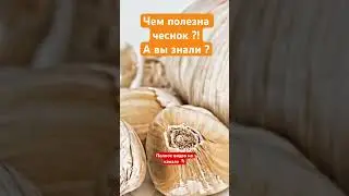 Что творит чеснок ? 🧄