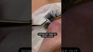Popping Off Those Outgrown Lashes