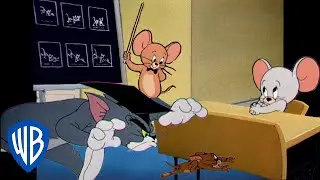 Tom & Jerry | Back to School Special! 📚 | Classic Cartoon Compilation | 