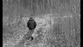 Дизель-поезд - Там не я