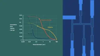 Susceptibility to Drying Shrinkage Stress