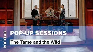 Rocklab Pop-Up Sessions #29 with The Tame and the Wild