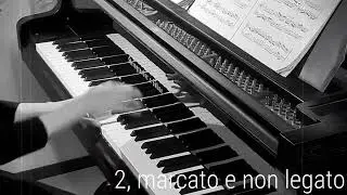 Ryoko Sugaya plays Bach:Goldberg Variation 3patterns in Variation 1