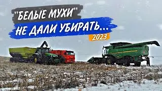 Последние поле с КУКУРУЗОЙ, а молотить её все труднее и труднее...