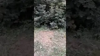 Дождик идет.