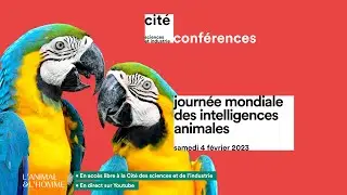 DIRECT Journée mondiale des intelligences animales