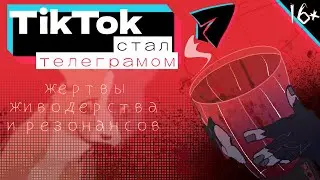 ТИКТОК СТАЛ ТЕЛЕГРАМОМ. жертвы живодерства / TikTok события /