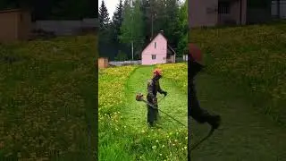 Покос травы триммером STIHL FS 450