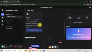 How To Get Your Discord Api Key