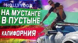 Гонки на Prius (Приус) \ Съемки клипа в пустыне \ Злой Мустанг
